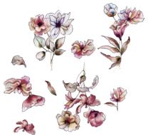 flowers watercolor textiles drawing