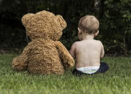 bear and baby on Green Grass