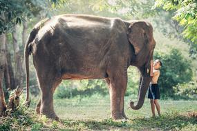 picture of the kid with elephant in Cambodia