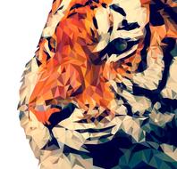 graphic image of a tiger face