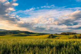 beautiful panorama of green field against blue sky