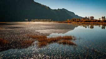 landscape of Marsh Pitt Lake Meadows