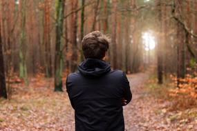 Person in forest