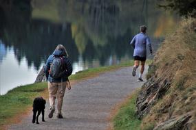 Running people and dog on waterside at Morning