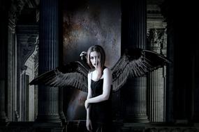 mystical photo of a girl in a black dress with black wings