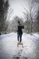 Snow Sled