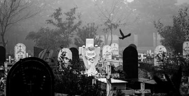 cemetery in mist, black and white