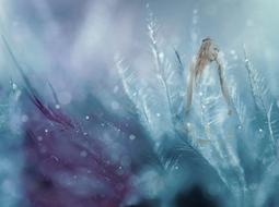 wallpaper with fairy girl