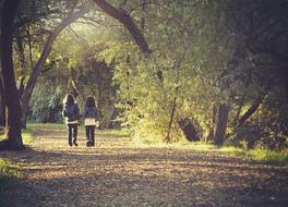 children, friends walk along the trail in the park