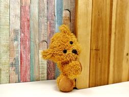 Teddy Bear Soft