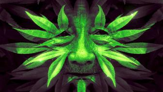 Fantasy Face Leaves green