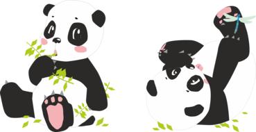 panda bear and dragonfly and bamboo