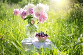 Cherries in bowl and bouquet of Peonies on grass