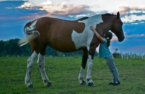 girl hugs a spotted horse in a pasture