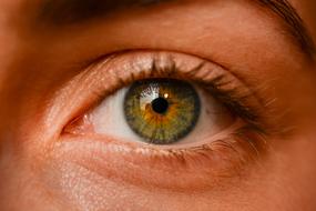 closeup view of Eye Iris Sight