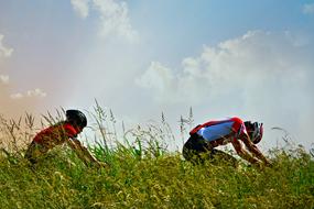 green grass and cyclists on a background of blue sky