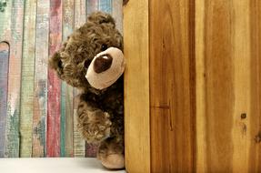 Teddy Bear, Soft Toy at wooden wall
