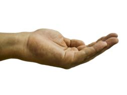 Hand Palm