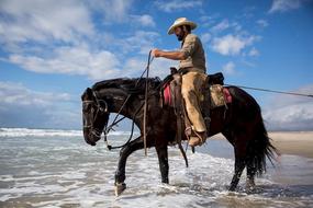 photo of a cowboy on a horse by the ocean