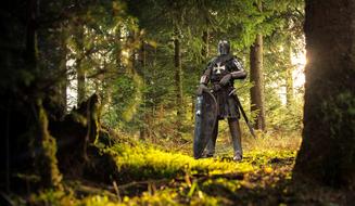 Knight with the weapon and armor, among the colorful and beautiful forest in light