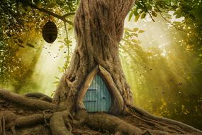 fairy wood house