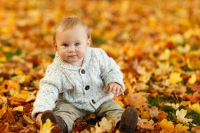 Autumn Fall Baby
