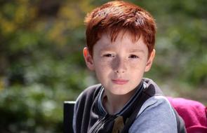 portrait of the Boy with Red Hair