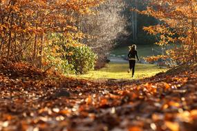 girl running along the forest path