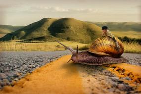 Snail Girl fantasy surreal
