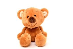 incredibly beautiful Teddy Soft Toy
