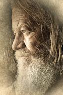 portrait of a senior man with beard