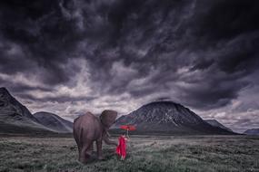 monk with elephant as a fantasy illustration