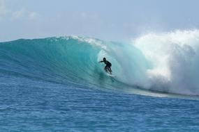 Surfer in curl of giant wave