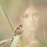 Girl Background and Bird