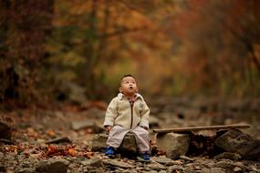 Kid and Autum Trees