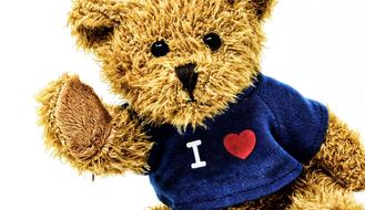 brown Teddy Cute Soft Toy