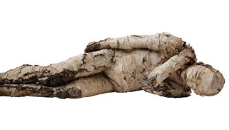 photo of a lying mummy