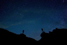star gazing, human silhouettes beneath dark starry sky
