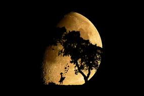 silhouette of a girl and a tree on a background of a large yellow moon among the darkness