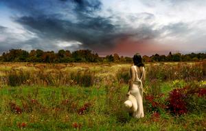 gorgeous girl in Field Landscape