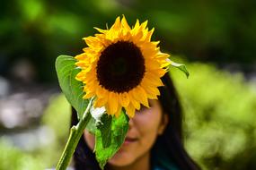 Girl and Sunflower