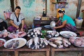 picture of fish sellers at a market in Bagan in Myanmar