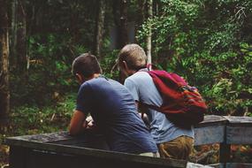 two young boys at wooden railing near forest