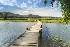 Beautiful, bamboo tree wooden bridge, among the water, green mountains and green trees in Phu Yen, Vietnam