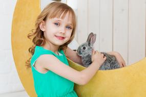 Rabbit Hare and Baby
