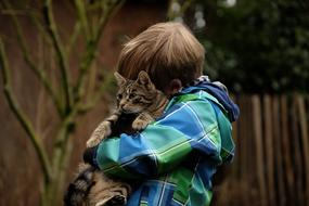 Friendship between Child and Cat