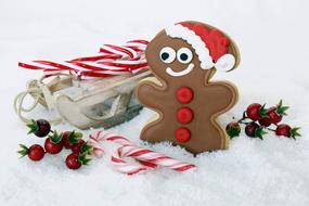 Gingerbread Man funny