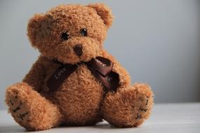 teddy bear with brown bow