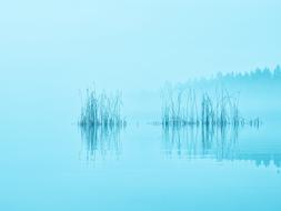 blue misty lake in the morning