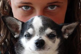 Cute black and white dog and a girl behind